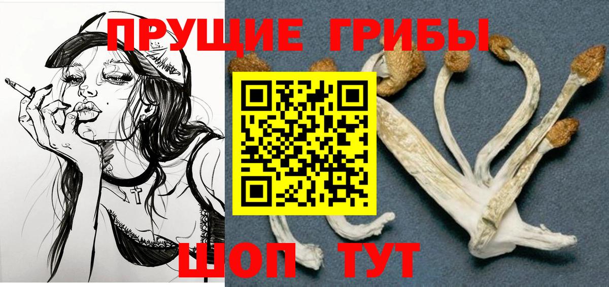 Белореченск  Галлюциногенные грибы мицелий  Вход с VPN 